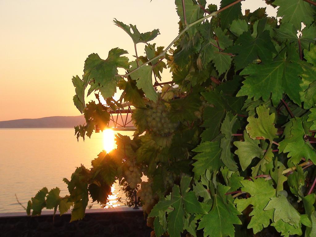 Villa Arca Adriatica Sveti Juraj Buitenkant foto