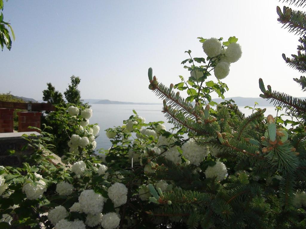 Villa Arca Adriatica Sveti Juraj Buitenkant foto